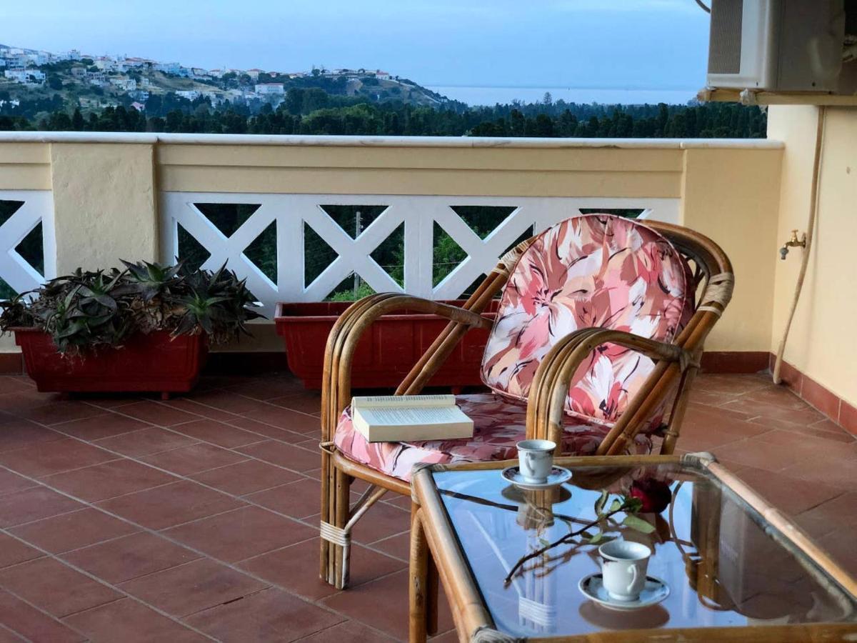 Villa Andros Epoque Livádhia 外观 照片