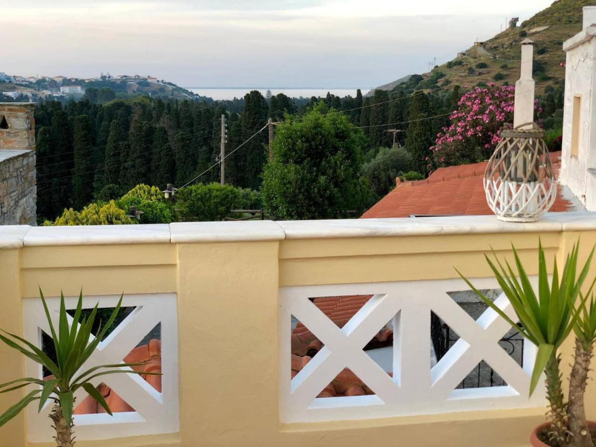 Villa Andros Epoque Livádhia 外观 照片