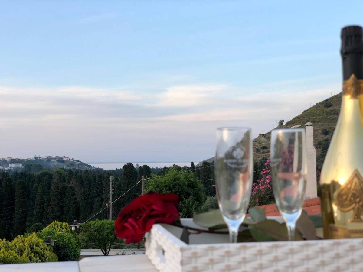 Villa Andros Epoque Livádhia 外观 照片
