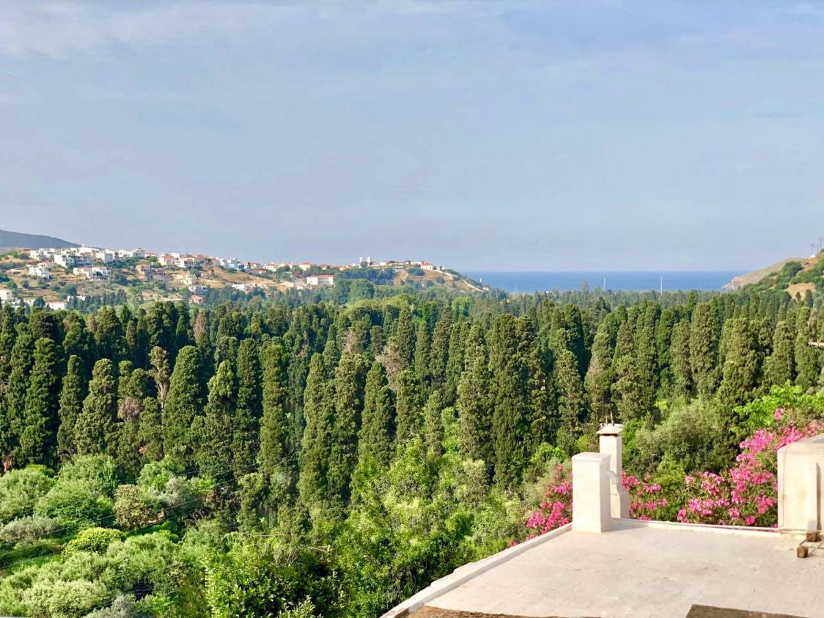 Villa Andros Epoque Livádhia 外观 照片