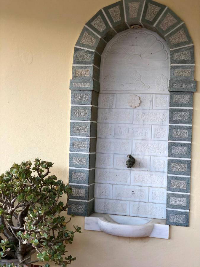 Villa Andros Epoque Livádhia 外观 照片